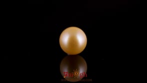 Golden Pearl - 4.8 Carat