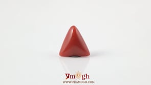 Red Coral - 3.6 Carat
