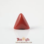 Red Coral - 3.6 Carat
