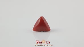 Red Coral - 3.6 Carat
