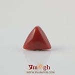 Red Coral - 3.6 Carat