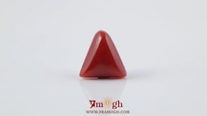 Red Coral - 5.1 Carat