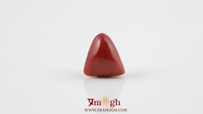 Red Coral - 4.8 Carat