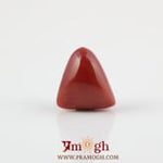 Red Coral - 4.8 Carat