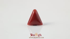 Red Coral - 4.9 Carat