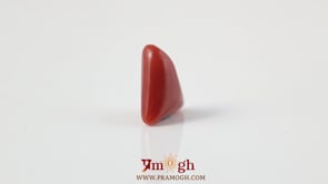 Red Coral - 4.9 Carat