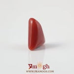 Red Coral - 4.9 Carat