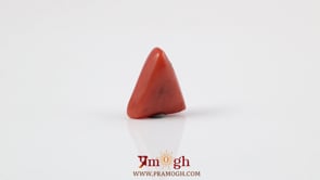 Red Coral - 3.45 Carat