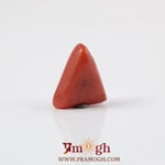 Red Coral - 3.45 Carat