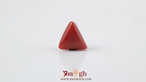 Red Coral - 3.35 Carat
