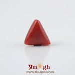 Red Coral - 3.35 Carat
