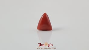 Red Coral - 3.6 Carat