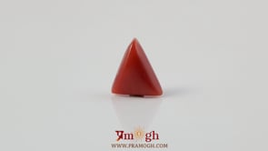 Red Coral - 3.3 Carat