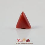 Red Coral - 3.3 Carat