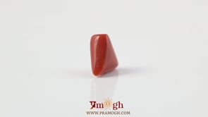 Red Coral - 3.6 Carat