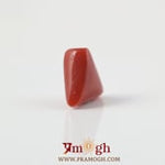 Red Coral - 3.6 Carat
