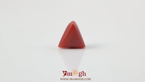 Red Coral - 3.6 Carat