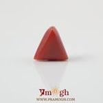 Red Coral - 3.6 Carat