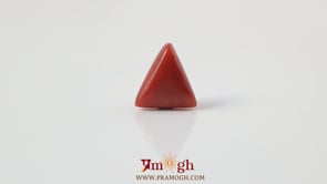 Red Coral - 3.33 Carat