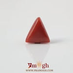 Red Coral - 3.33 Carat