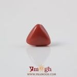 Red Coral - 3.6 Carat