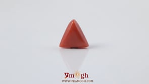 Red Coral - 3.33 Carat