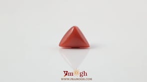 Red Coral - 3.7 Carat