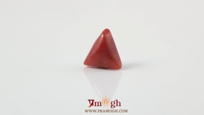 Red Coral - 3.7 Carat
