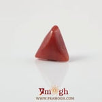Red Coral - 3.7 Carat
