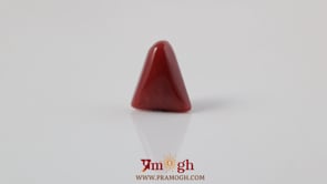 Red Coral - 4.8 Carat