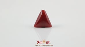 Red Coral - 4.8 Carat
