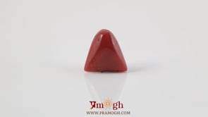Red Coral - 5.31 Carat