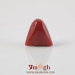 Red Coral - 5.31 Carat