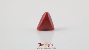Red Coral - 4.84 Carat