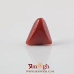 Red Coral - 4.84 Carat