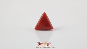 Red Coral - 3.72 Carat