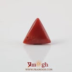 Red Coral - 3.72 Carat
