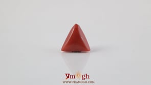 Red Coral - 3.64 Carat