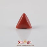 Red Coral - 3.64 Carat