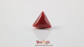 Red Coral - 4.85 Carat