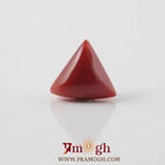 Red Coral - 4.85 Carat