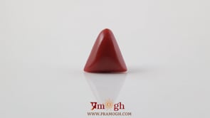 Red Coral - 4.8 Carat