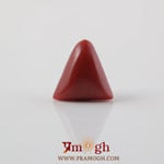 Red Coral - 4.8 Carat