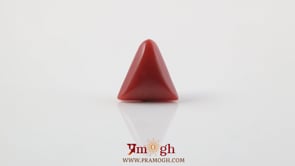 Red Coral - 4.8 Carat