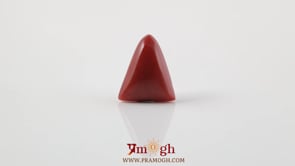 Red Coral - 4.8 Carat
