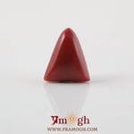 Red Coral - 4.8 Carat