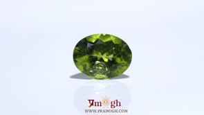 Peridot - 4.8 Carat