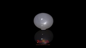 Moonstone - 9.7 Carat