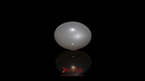 Moonstone - 8.65 Carat