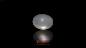 Moonstone - 7.9 Carat